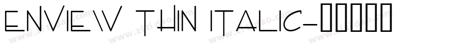 Enview Thin Italic字体转换